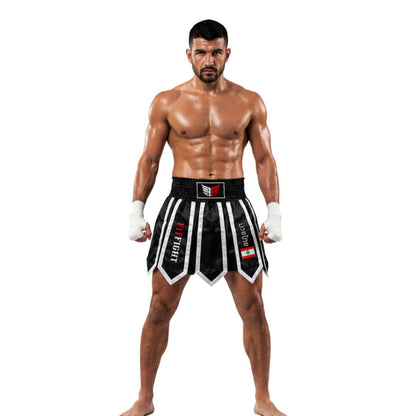 FITFIGHT Professional Muay Thai Shorts – Lebanon Edition