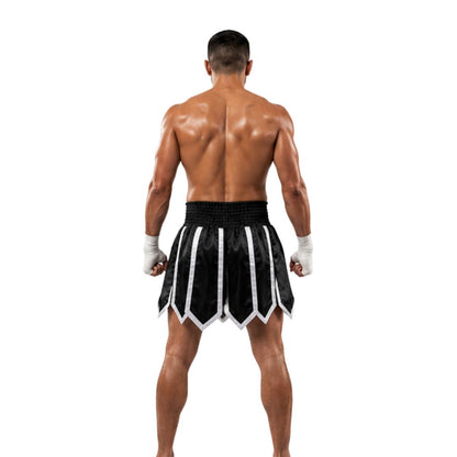 FITFIGHT Professional Muay Thai Shorts – Lebanon Edition