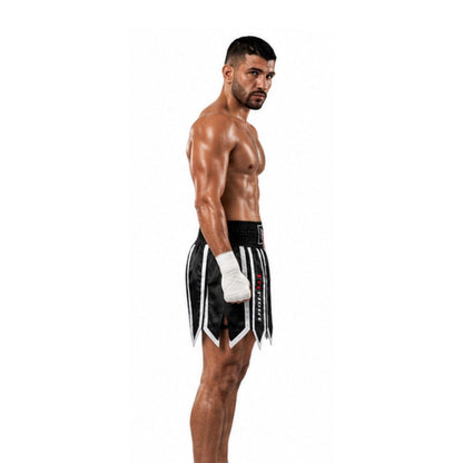 FITFIGHT Professional Muay Thai Shorts – Lebanon Edition