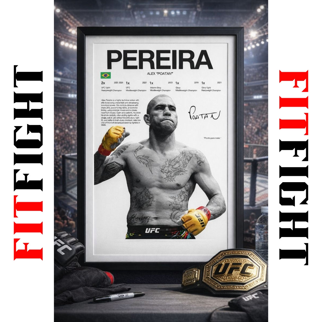 MMA Lovers UFC Posters 6 Frames Bundle