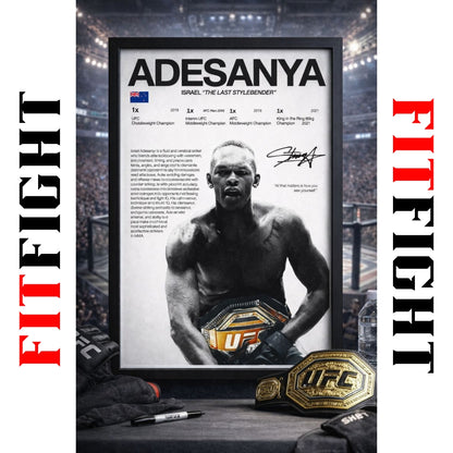MMA Lovers UFC Posters 6 Frames Bundle